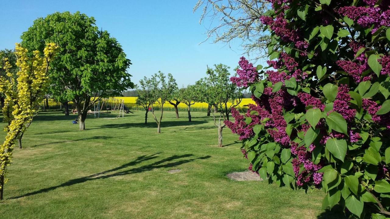 Landferienhof "Mueritzufer" Ludorf ภายนอก รูปภาพ