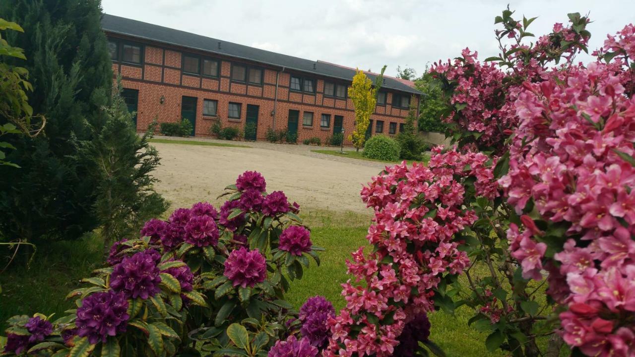Landferienhof "Mueritzufer" Ludorf ภายนอก รูปภาพ